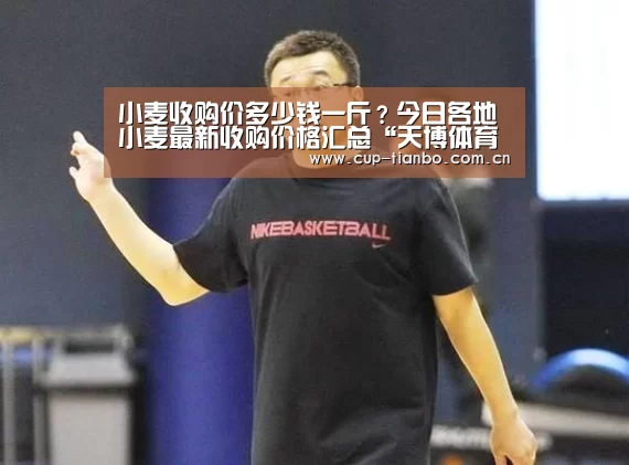 小麦收购价多少钱一斤？今日各地小麦最新收购价格汇总“天博体育下载”