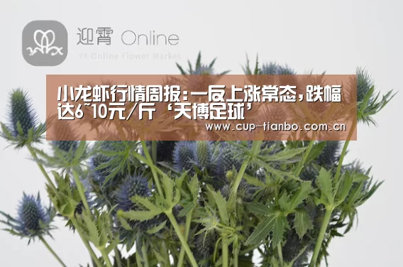小龙虾行情周报:一反上涨常态,跌幅达6~10元/斤‘天博足球’(图1) 天博足球
