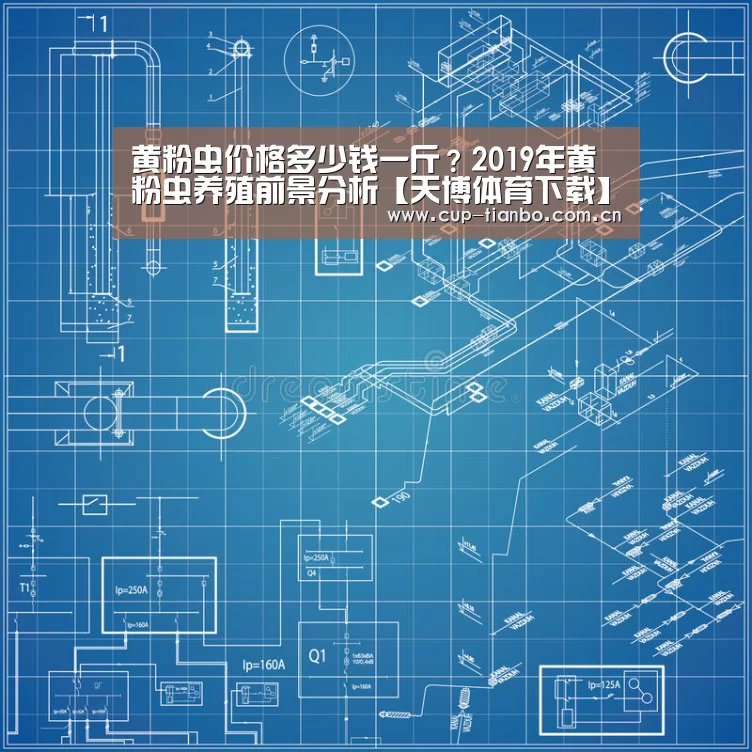 天博体育官网