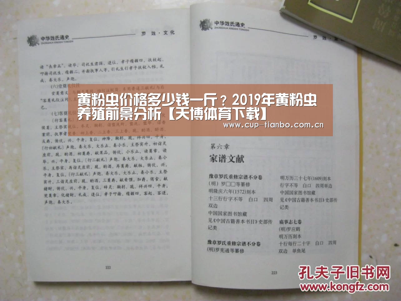 天博体育下载