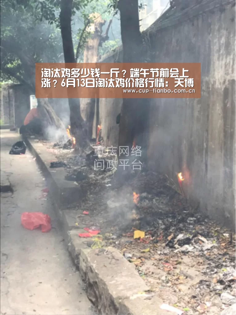 淘汰鸡多少钱一斤?端午节前会上涨?6月13日淘汰鸡价格行情:天博体育手机版(图3) 天博足球
