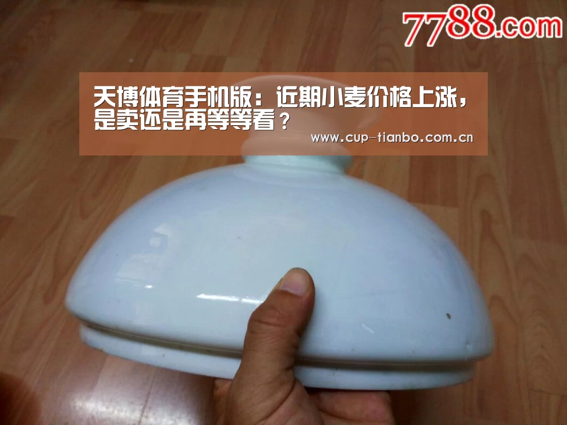 天博体育手机版:近期小麦价格上涨,是卖还是再等等看?(图2) 天博体育官网