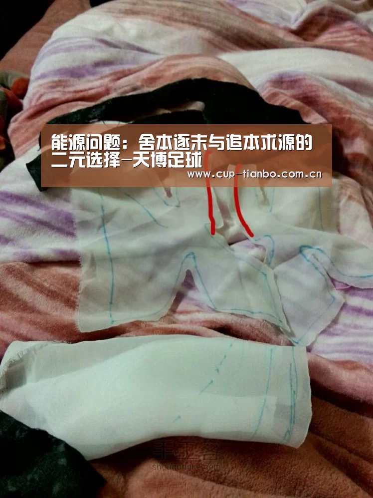 能源问题:舍本逐末与追本求源的二元选择-天博足球(图1) 天博体育官网